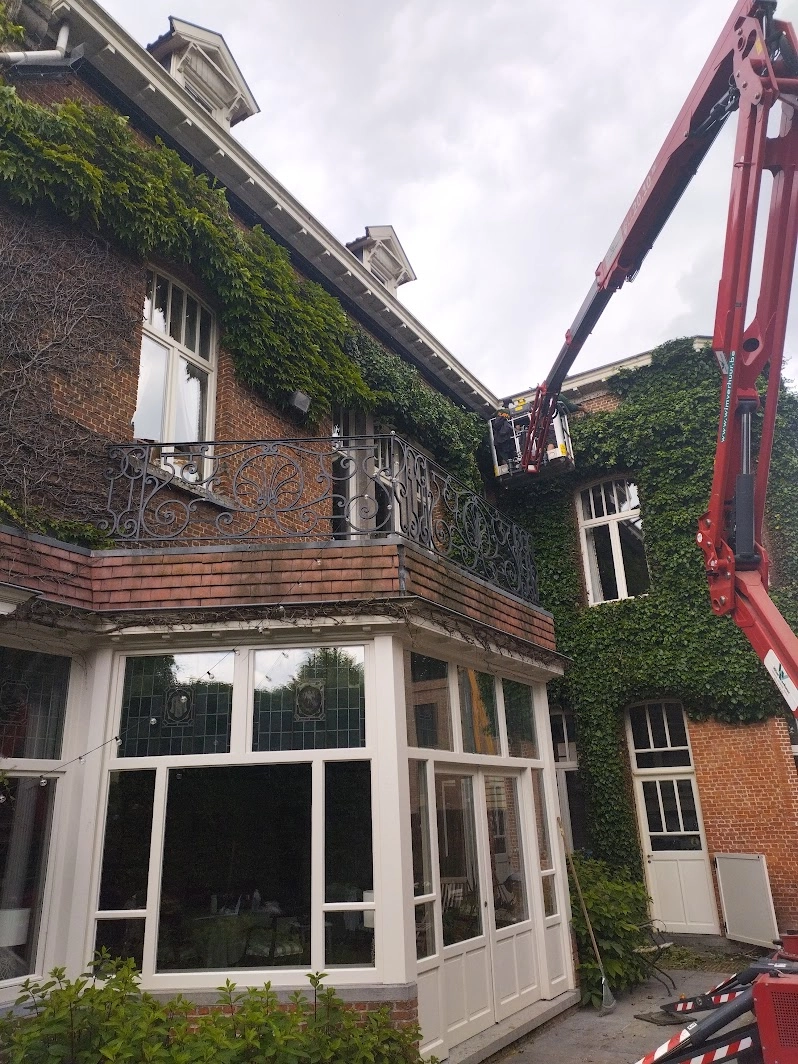 Plant team op een groendak