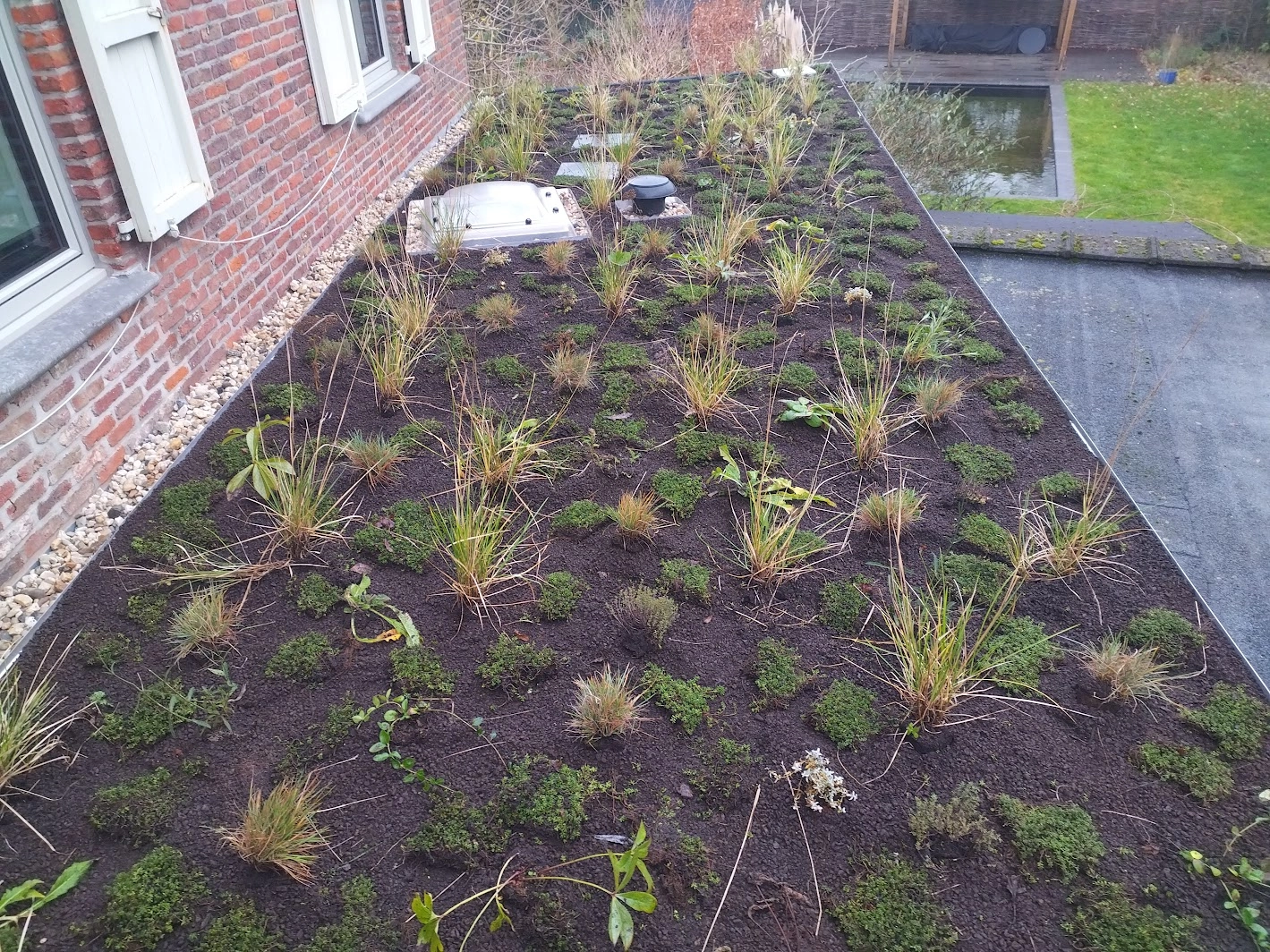 Groendak onderhoud